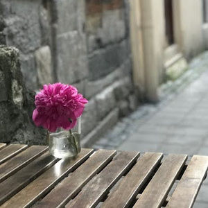 Meet your Posher, Lydia